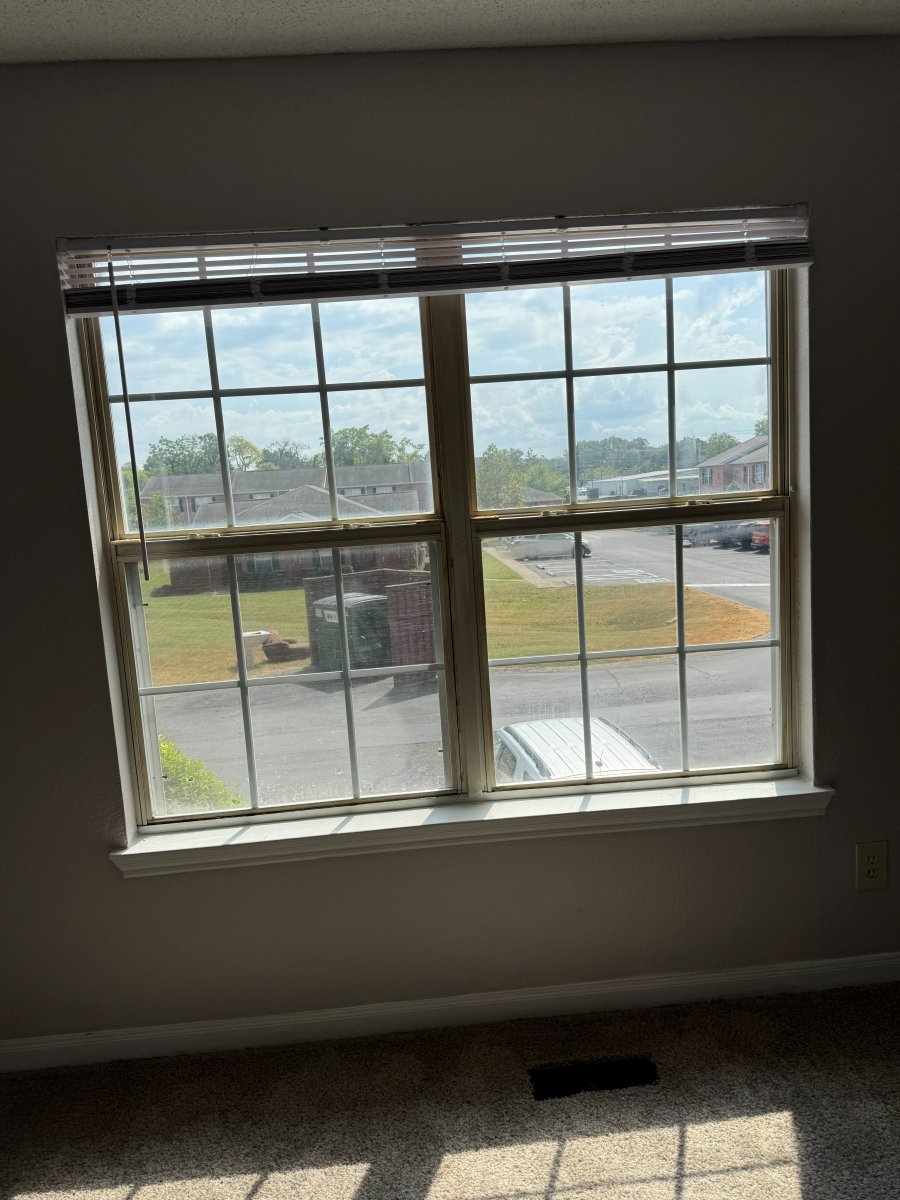 Cleaned window, sill and baseboards in an empty carpeted room